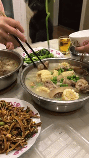 爆笑动图：太需要这个标了，很难不靠近看清楚啊！