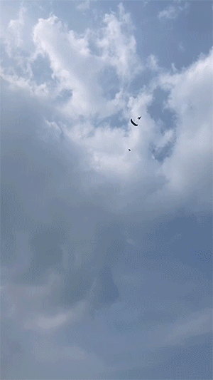 爆笑动图：太需要这个标了，很难不靠近看清楚啊！