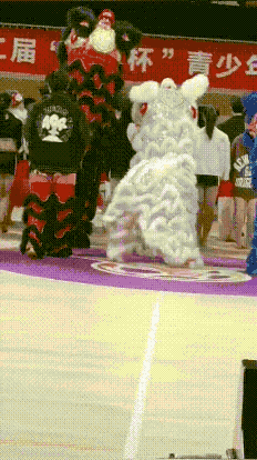 搞笑的GIF：这比广场舞还占地方，不过比广场舞好玩！