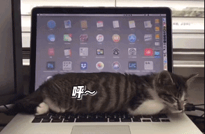搞笑的动态图：日本人设计的吧？