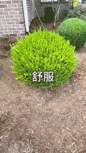GIF：强迫症看完表示爽死了！