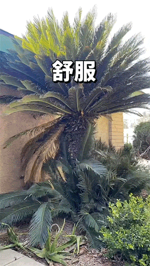 GIF：强迫症看完表示爽死了！