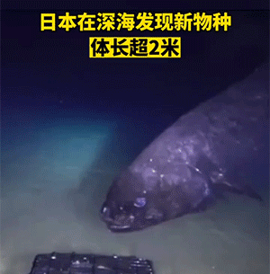 雷人GIF图：太变态了，不知道到处都是监控吗？