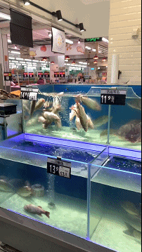 搞笑动态图:年度最佳励志短片
