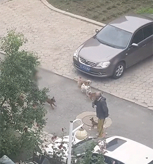 爆笑的GIF图：小时候看到这个我得玩一天