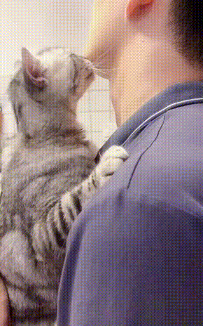 爆笑的GIF图：小时候看到这个我得玩一天