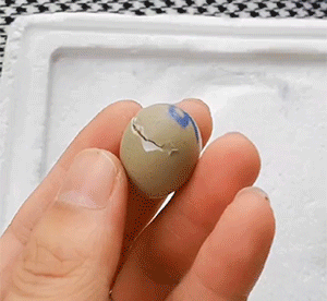 精彩GIF动图：这入水姿势，不是练游泳的我不信