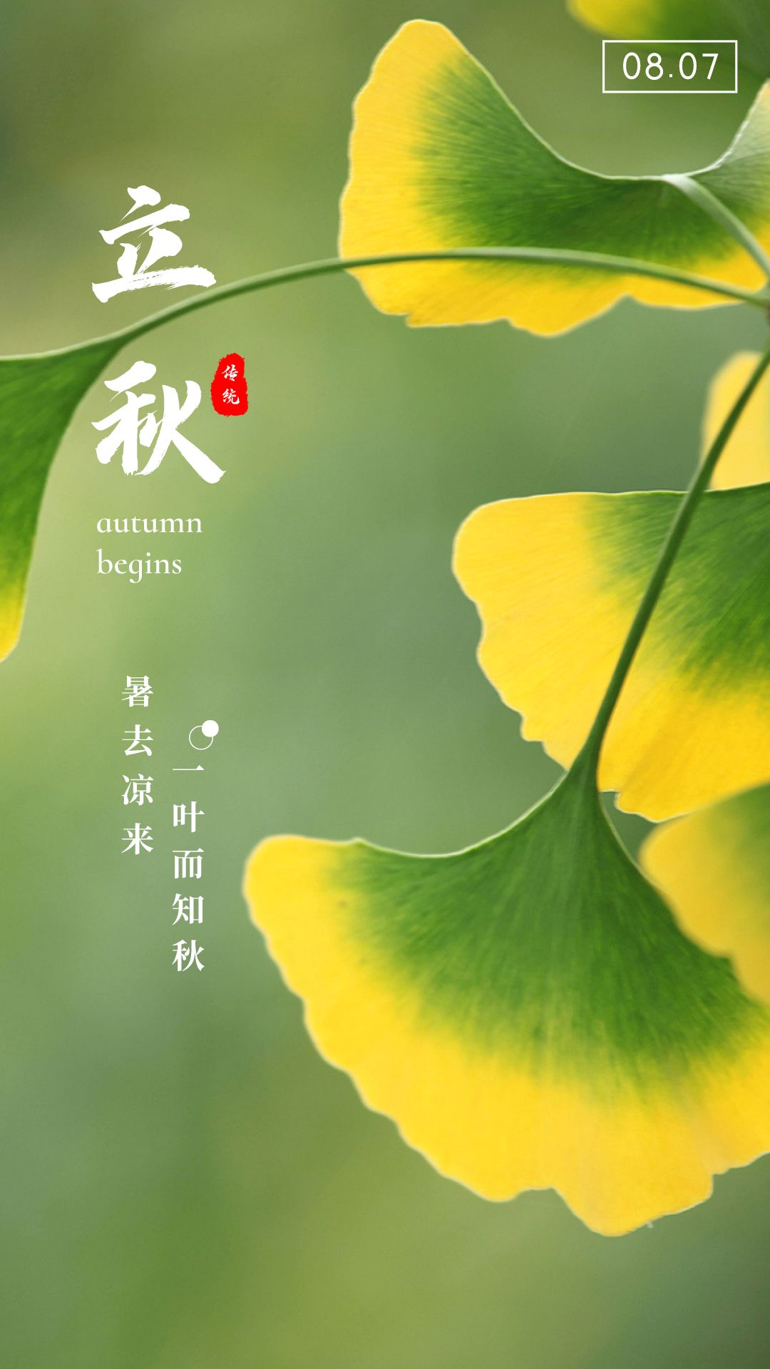 立秋配图图片大全高清唯美，立秋文案短语说说