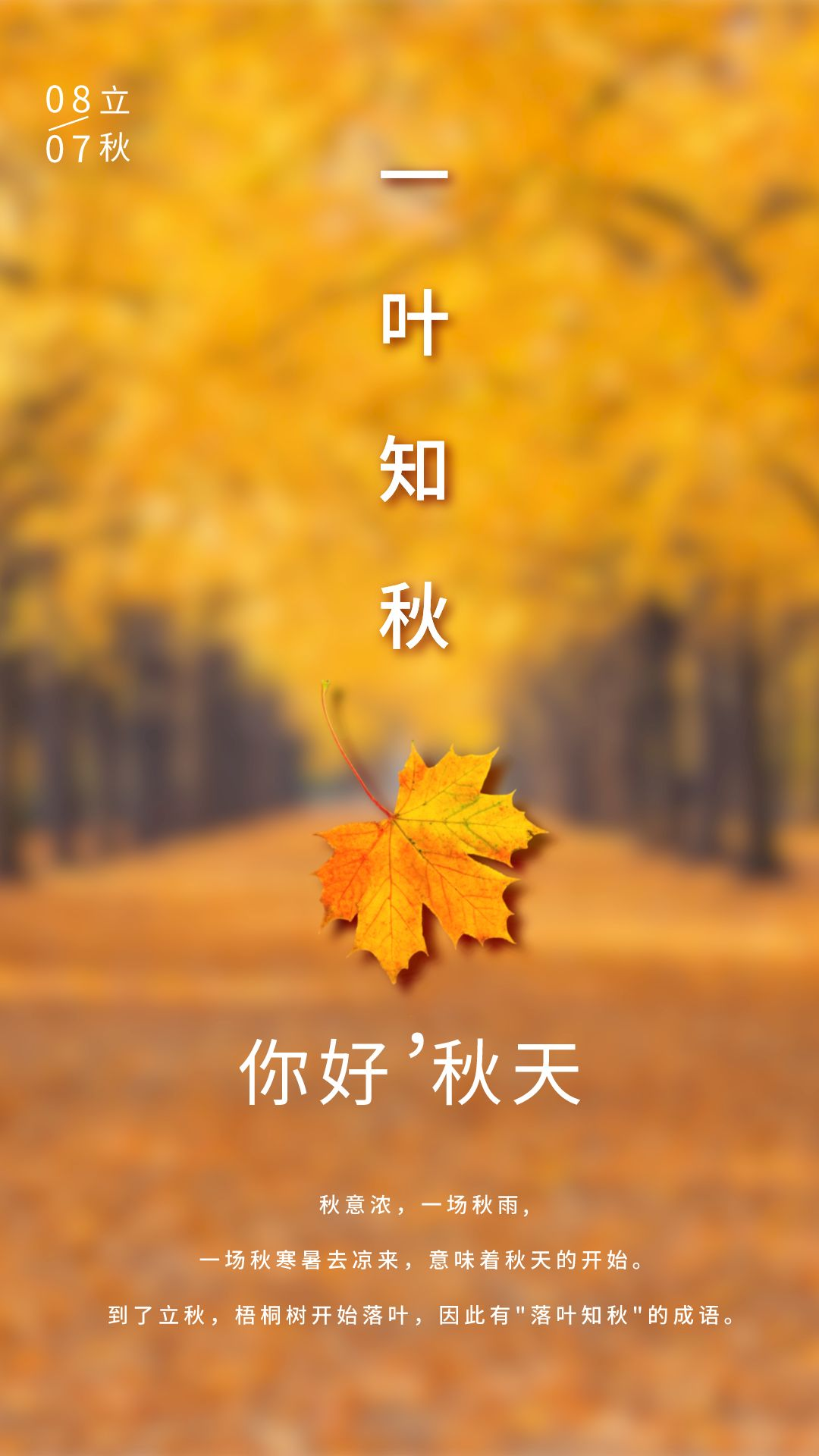 立秋配图图片大全高清唯美，立秋文案短语说说