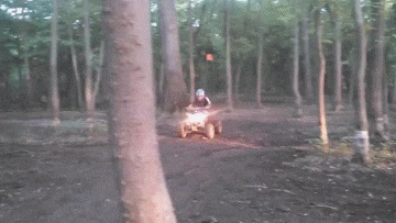 搞笑GIF动图 谭警官的节目还是保守了 搞笑GIF 图10