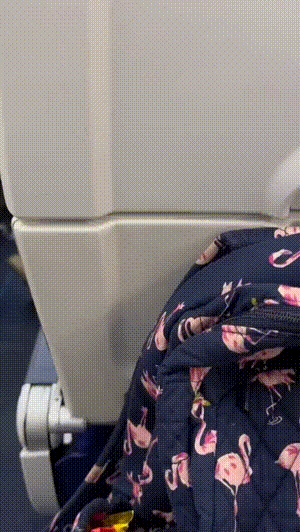 搞笑GIF动图 谭警官的节目还是保守了 搞笑GIF 图7