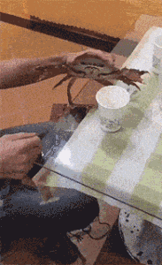 鸡蛋 - 爆笑的GIF图 她们真的好开心呀 - 第3页 搞笑GIF 图4