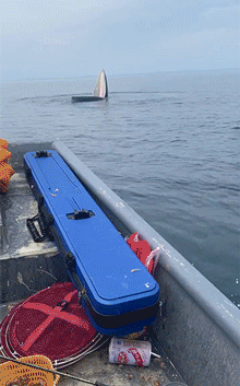 鳄鱼 - 爆笑的GIF图 她们真的好开心呀 - 第2页 搞笑GIF 图10