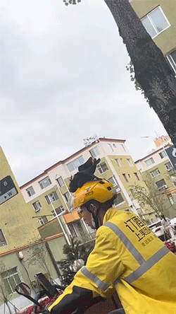 搞笑动图 爸爸再也不敢玩捉迷藏了 搞笑GIF 图14