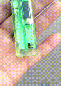 搞笑动图 爸爸再也不敢玩捉迷藏了 搞笑GIF 图8