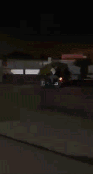 搞笑动图 爸爸再也不敢玩捉迷藏了 搞笑GIF 图16