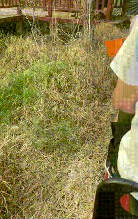 搞笑动图 爸爸再也不敢玩捉迷藏了 搞笑GIF 图13