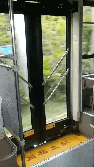 精彩动态图 我身边真有这种狗 搞笑GIF 图15