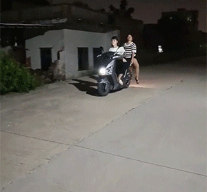 精彩动态图 我身边真有这种狗 搞笑GIF 图10