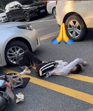 精彩动态图 我身边真有这种狗 搞笑GIF 图6
