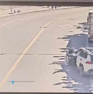精彩动态图 我身边真有这种狗 搞笑GIF 图5