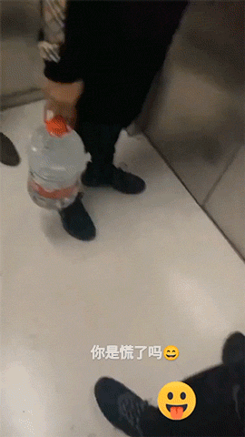 精彩动态图 我身边真有这种狗 搞笑GIF 图2