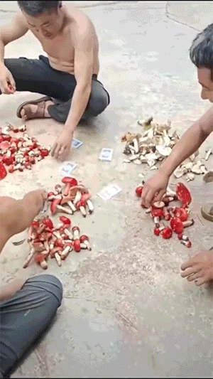爆笑的动态GIF 现在的外卖也太卷了吧 内涵段子 图11