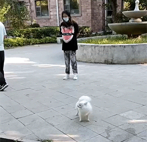 爆笑的动态GIF 现在的外卖也太卷了吧 内涵段子 图6