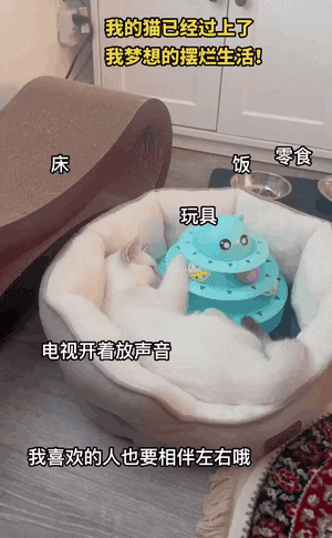 ​搞笑GIF图 自己不尴尬 尴尬的真是别人 搞笑GIF 图8
