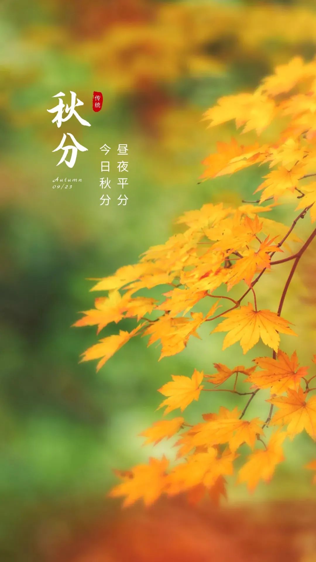 秋分图片配图高清唯美简单带字，秋分文案朋友圈祝福语吉祥语
