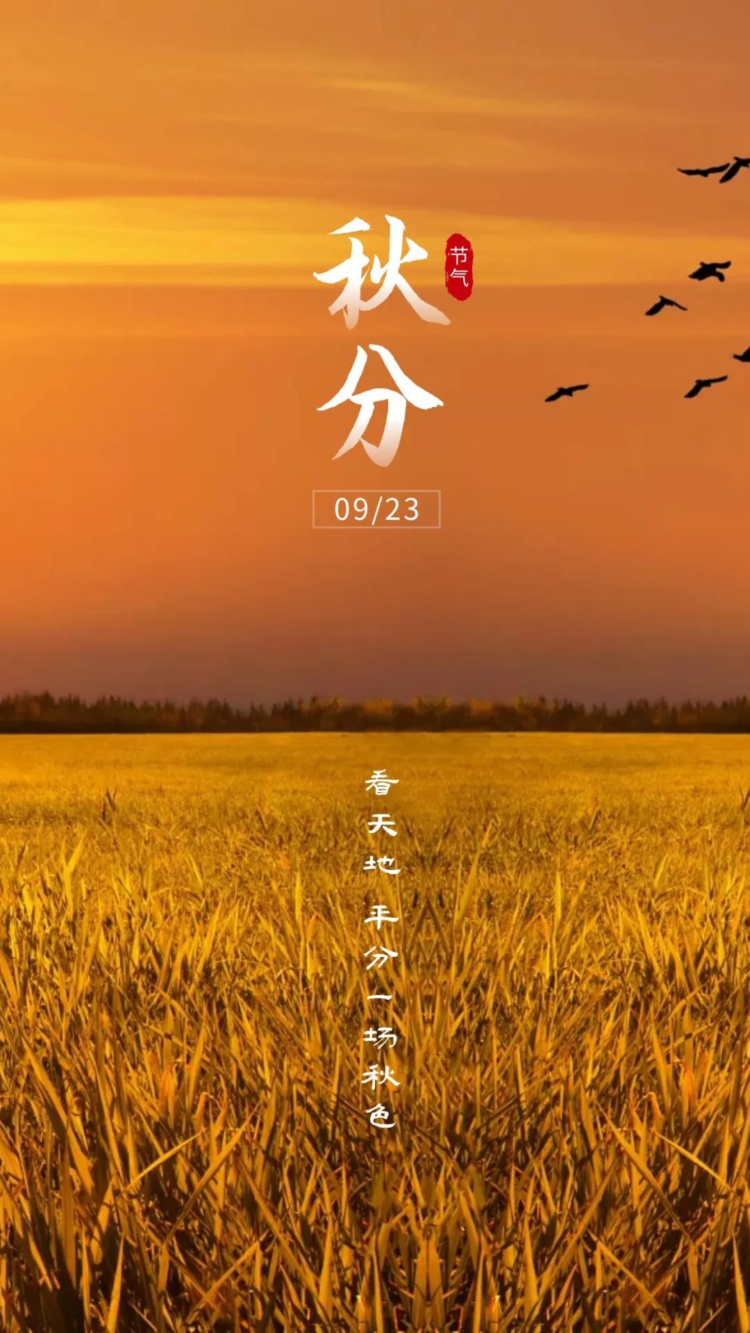秋分图片配图高清唯美简单带字，秋分文案朋友圈祝福语吉祥语