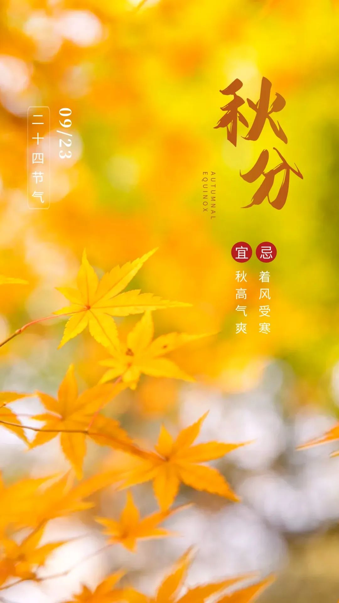 秋分图片配图高清唯美简单带字，秋分文案朋友圈祝福语吉祥语